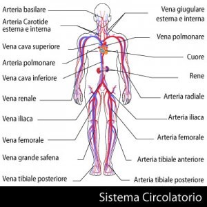 visita angiologica nomentano monterotondo