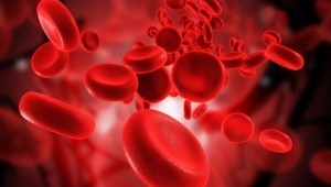 visita ematologica ematologia nomentano