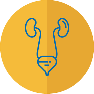visita-urologica-nomentano